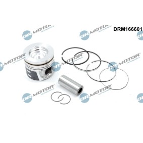 Kolben DRM166601