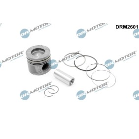 Kolben DRM2601