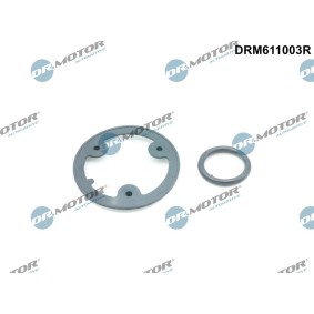 Dichtungssatz, Ölkühler DRM611003R