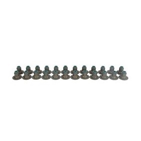 Dichtungssatz, Ventilschaft von DNJ ENGINE COMPONENTS VSS3139
