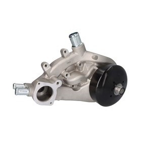 Wasserpumpe WP3169 für SAAB