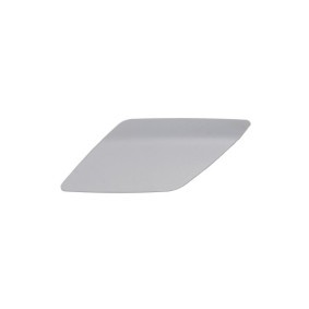 Achetez des Enjoliveur, pare-chocs BLIC 5513-00-9534917P à prix pour 9,68 €