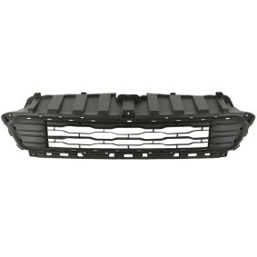 Kühlergrill 6502-07-2053993P