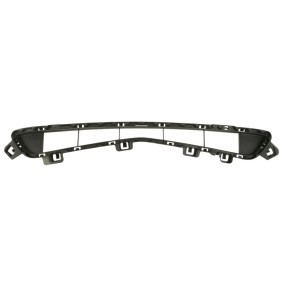 Acquista Griglia paraurti da BLIC 6502-07-3422910P a buon mercato per soli 33,14 €
