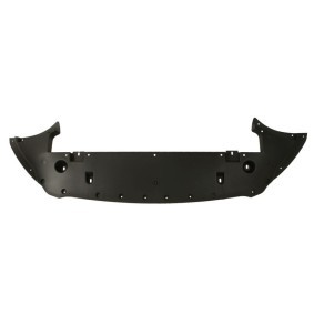 Motor- / Unterfahrschutz 6601-02-2598880P