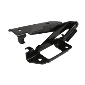 Scharnier, Motorhaube 6802-00-1189451P