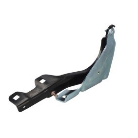 Achetez des Charnière, capot-moteur BLIC 6802-00-3208455P à prix pour 13,86 €