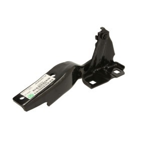 Scharnier, Motorhaube 6802-00-3216452P