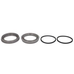Acquista Kit revisione pinze freno da BBP online per 1500 Extended Cab Pickup (DT) a prezzi moderati