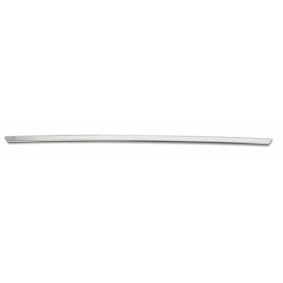Achetez des Enjoliveur, hayon OMAC 2502054F à prix pour 27,53 €