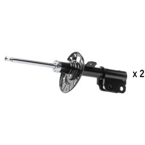 Stoßdämpfer von RIDEX