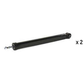 Stoßdämpfer von RIDEX
