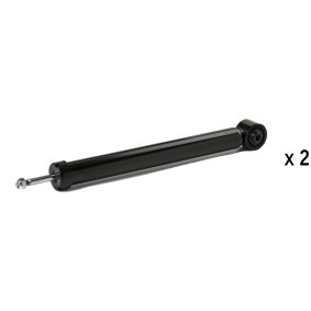 Stoßdämpfer von RIDEX