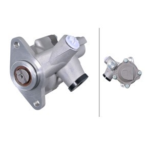 Servopumpe für DAF von HELLA