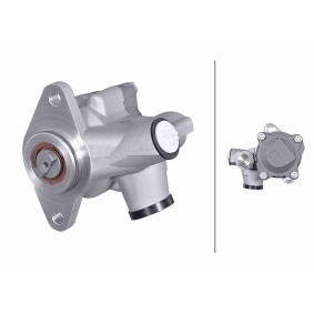 Servopumpe für DAF von HELLA
