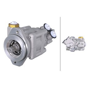 Servopumpe für DAF von HELLA