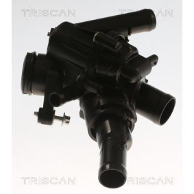 Kühlwasserthermostat 8620 55797
