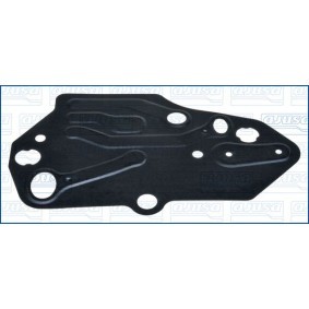 Nockenwellenversteller-Dichtung 01685500