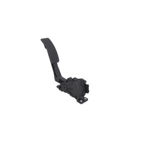 Gaspedal 4200012