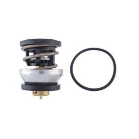 Kühlwasserthermostat TX 490 91D