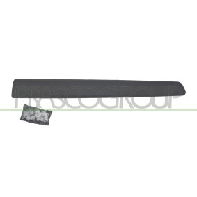 Comprar Listón embellecedor / protector, puerta de PRASCO CI9181404 a bajo precio de 45,40 €