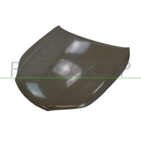 Motorhaube TY8243100