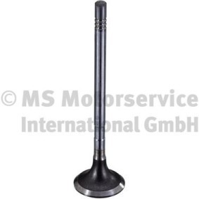 Comprar Válvula de escape de TRW Engine Component 189003 a bajo precio de 16,92 €