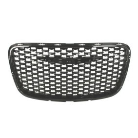 Kühlergrill 6502-07-0939991P