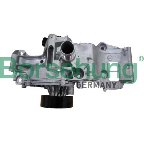 Achetez des Pompe à eau Borsehung B11216 à prix pour 321,08 €