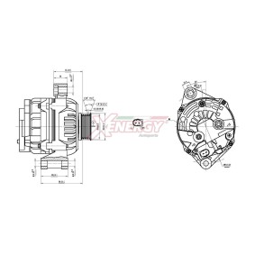 SMART Lichtmaschine von AP XENERGY