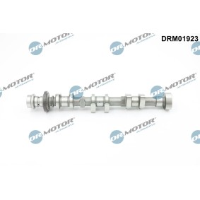Compre Árvore de cames da DR.MOTOR AUTOMOTIVE DRM01923 a um preço baixo por 126,63 €