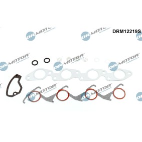 Dichtungsvollsatz, Motor DRM12219S