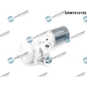 Osta Kotelo, öljynsuodatin DR.MOTOR AUTOMOTIVE:llä DRM161015S edullisesti hintaan 114,50 €