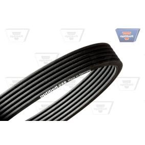 Achetez des Courroie Poly-V OPTIBELT 6 DPK 1853 à prix pour 48,27 €