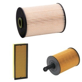 Filterset 4055F7503P von RIDEX PLUS günstig für 30,60 € online kaufen