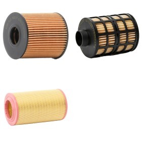 Filterset 4055F7964P von RIDEX PLUS günstig für 37,56 € online kaufen