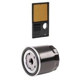 Filterset für SEAT von RIDEX PLUS