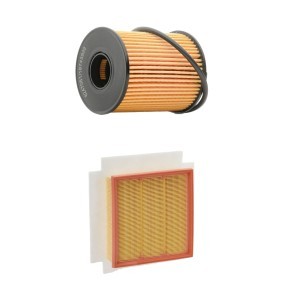 Osta Suodatinsarja RIDEX PLUS:llä 4055F1119P edullisesti hintaan 18,79 €