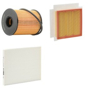Osta Suodatinsarja RIDEX PLUS:llä 4055F0081P edullisesti hintaan 26,34 €