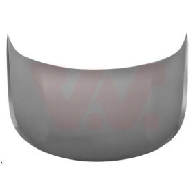 Motorhaube 4006670
