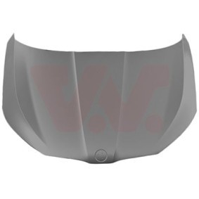 Achetez des Capot de chez VAN WEZEL en ligne pour Scala 3/5 portes à prix modérés