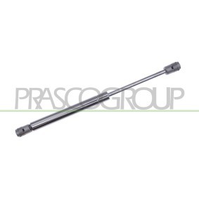 Heckklappendämpfer von PRASCO