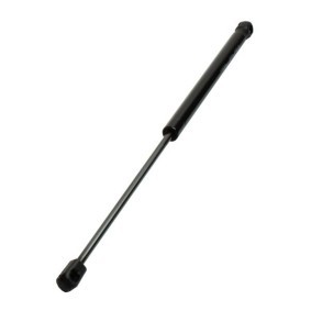 Heckklappendämpfer 12-2587