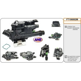 Achetez des Bride de liquide de refroidissement de chez AHE en ligne pour 308 SW I Van / Break (4E) à prix modérés