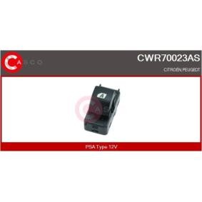 Achetez des Crémaillère de direction CASCO CSB73310GS à prix pour 1388,59 €