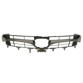 Kühlergrill 6502-07-8145990P