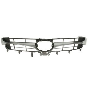 Kühlergrill 6502-07-8145991P