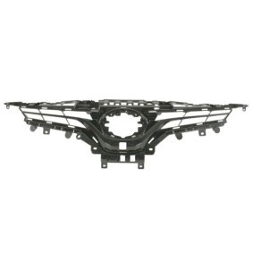 Kühlergrill 6502-07-8167996P