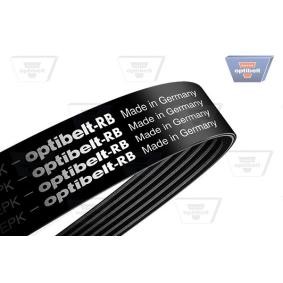 Achetez des Courroie Poly-V OPTIBELT 3 EPK 885 à prix pour 19,14 €