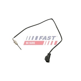 Acquista Sensore, Temperatura gas scarico da FAST FT00389 a buon mercato per soli 84,22 €